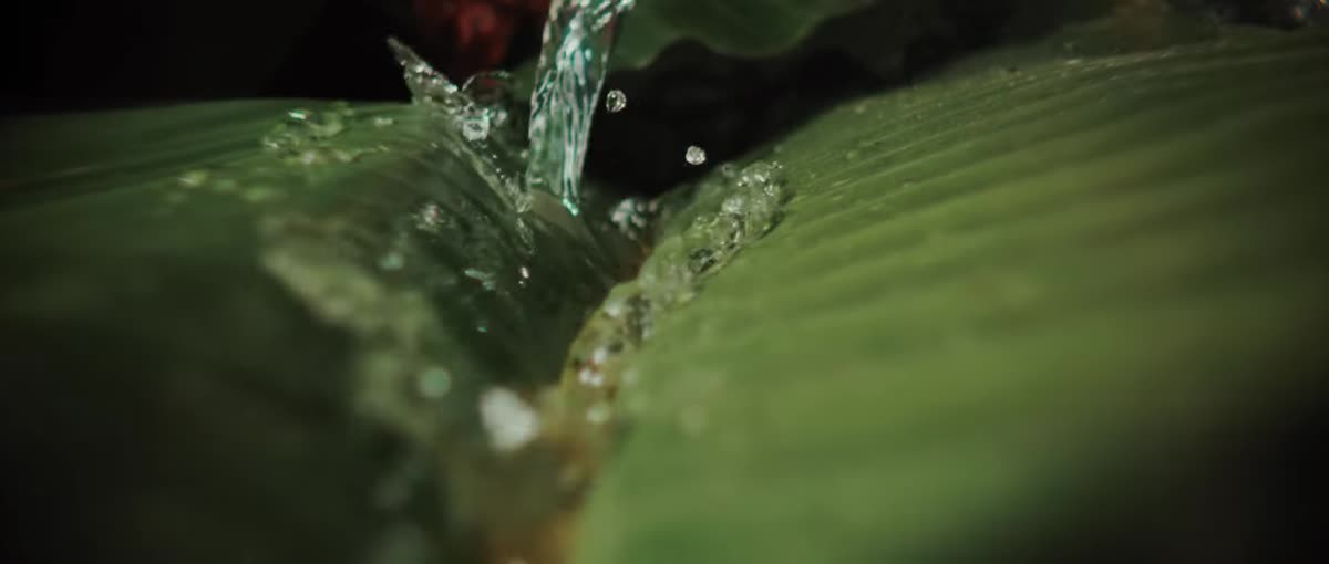 Frame from Green Energy