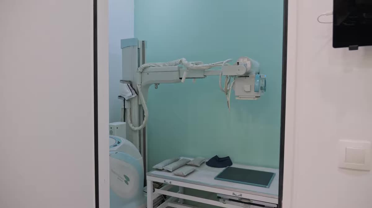 Frame from Ilion Veterinary Clinic
