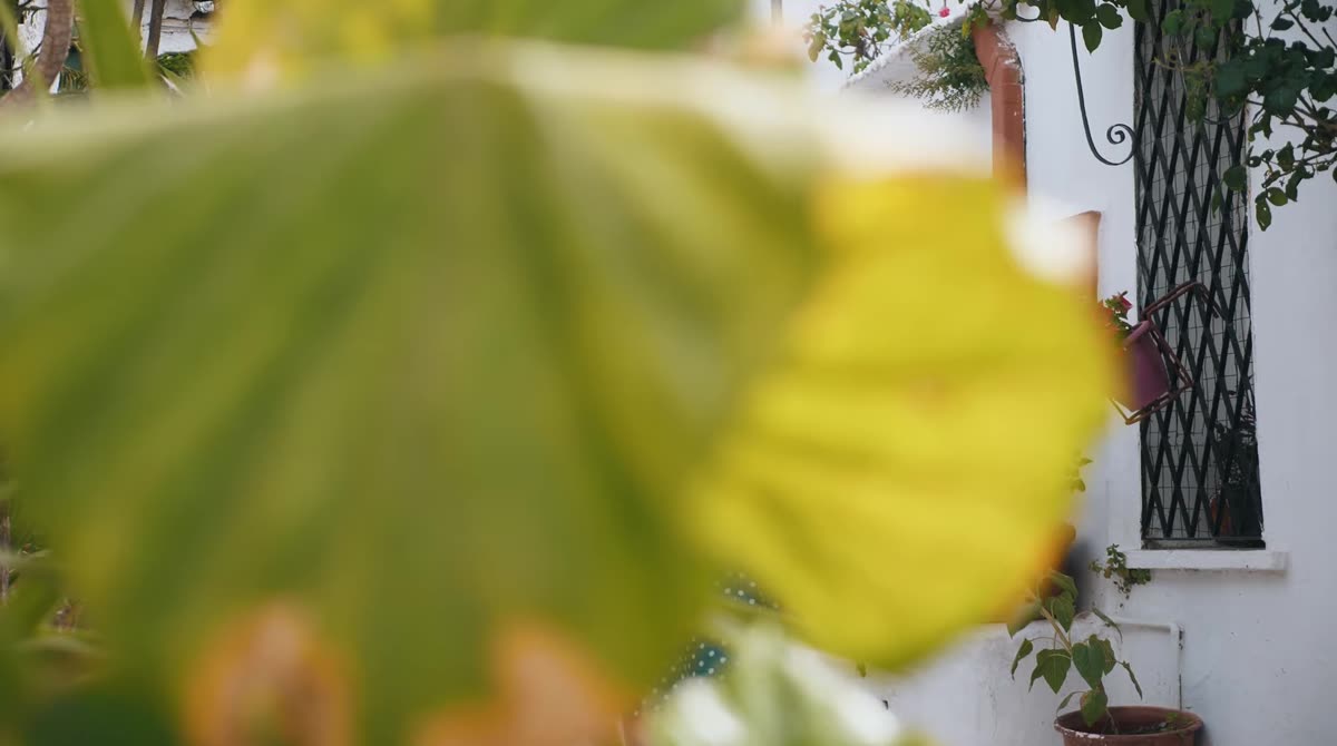 Frame from Plomari Ouzo