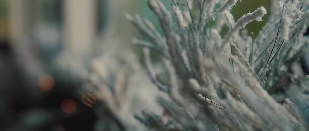 Frame from Afroditi Petrinoli